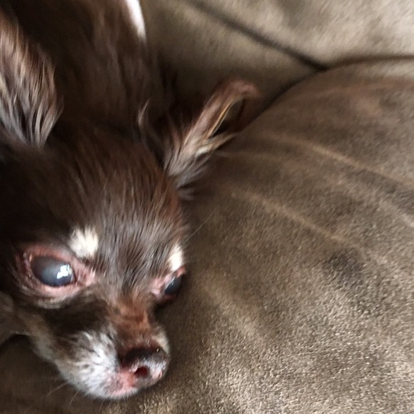 Meet your Posher, Michelle - Picture 2 of 2